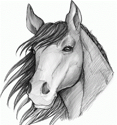 Екі камерасы бар анал порно