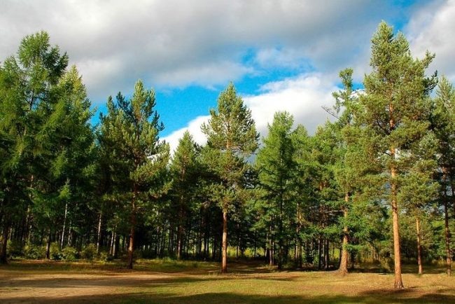 Әдемі қыздардың артқы көрінісі фотогалереясы