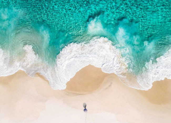 Мардж Симпсонның Бартпен секс видеосы