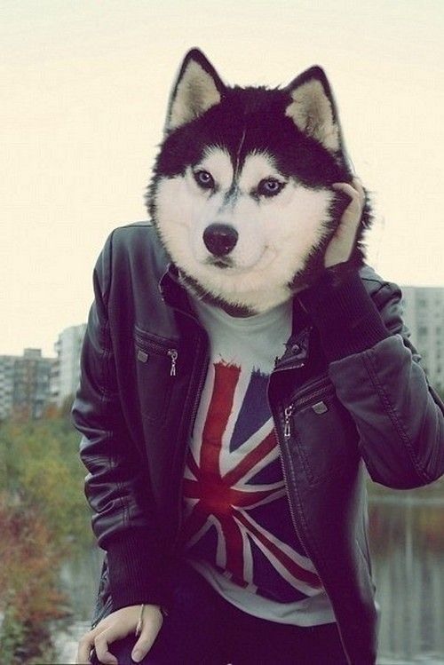 Мұсылмандық порно